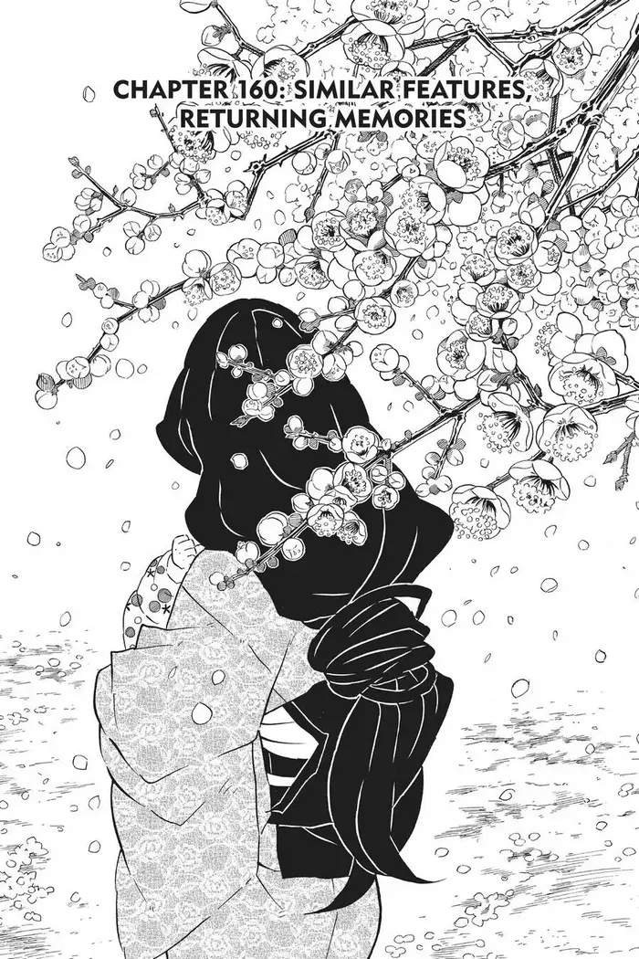 Demon Slayer Chapter 160 image 01_optimized